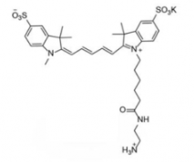 ˮԶdiSulfo-Cy5 amine/NH2/(Methyl׻)Ex/Em(nm) 646/662