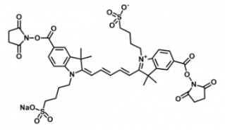 ˮԻɹȾdiSulfo-Cy5 bis-NHS ester/ ܽԣwater,alcohols, DMSO, DMF