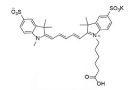 ˮԶdiSulfo-Cy5 carboxylic acid/COOH/Ȼ(Methyl)CAS:1121756-16-8