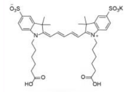 ˮԶdiSulfo-Cy5 carboxylic acid/COOH/Ȼ(Di)CAS:252255-40-6