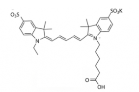 ˮԶɹȾdiSulfo-Cy5 carboxylic acid/COOH/Ȼ(Ethyl)CAS:146368-11-8Ex/Em(nm) 646/664