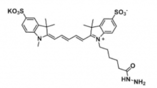 ˮԶɹȾdiSulfo-Cy5 hydrazide/N3/BCAS:2055138-61-7Ex/Em(nm) 646/662