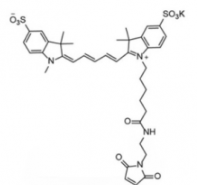 ˮԶɹȾdiSulfo-Cy5 maleimide/RCAS:2130955-10-9 ʲôɫ