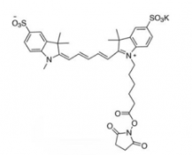 ˮԶɹȾdiSulfo-Cy5 NHS ester/(Methyl׻)CAS:2230212-27-6;937739-58-7