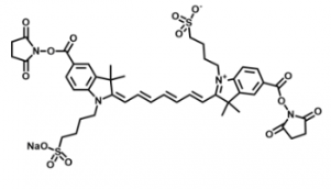 ˮԶdiSulfo-Cy7 Bis-NHS ester/ ܽΣЩ܄