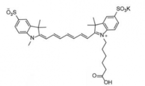 ˮԶɹȾdiSulfo-Cy7 carboxylic acid/COOH/Ȼ(Methyl׻)CAS:1251915-04-4
