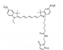 ˮԶɹȾdiSulfo-Cy7 maleimide/R(Ethylһ)CAS:1422279-40-0water,alcohols, DMSO, DMF