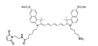 ˮݼGɹȾdiSulfo-ICG maleimide/Rl(f)l(f)䲨L(zhng)Ex/Em(nm) 751/830