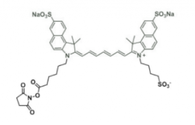 ˮݼGdisulfo-ICG NHS ester/Ex/Em(nm) 751/830