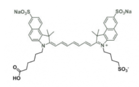 ݼGɹȾICG carboxylic acid/COOH/ȻCAS:181934-09-8Cy7.5 Acid(mono SO3)