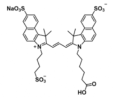 ˮԟɹȾtrisulfo-Cy3.5 carboxylic acid/COOH/Ȼᣬl(f)l(f)䲨L(zhng)Ex/Em(nm) 585/610