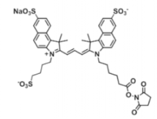 ˮ?z)ɹȾtrisulfo-Cy3.5 NHS ester/Ex/Em(nm) 585/610