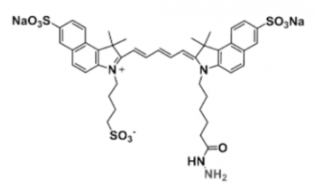 ˮɹȾtriSulfo-Cy5.5 HydrazideEx/Em(nm) 673/691 Įa(chn)Ʒ(sh)Y(ji)(gu)ʽ