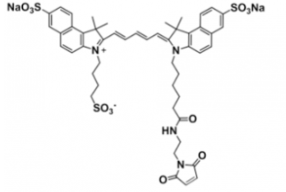 ˮtriSulfo-Cy5.5 maleimide/R(li)ܽ water,alcohols, DMSO, DMFEx/Em(nm) 673/691