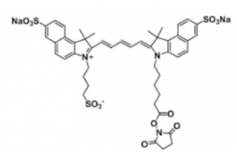 ˮtrisulfo-Cy5.5 NHS ester/Ex/Em(nm) 673/691 a(chn)ƷBY(ji)(gu)ʽ