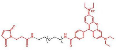 ɹȾ_-Ҷ-R(li)Rhodamine-PEG-MaleimideܽȼY(ji)(gu)ʽ