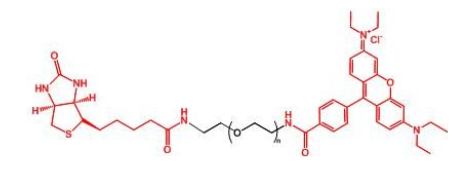 _ҶRB-PEG-BNRhodamine-PEG-BIOTINa(chn)Ʒ