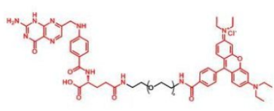 ɹȾ_-Ҷ-~ᣬRB-PEG-FARhodamine-PEG-Folatea(chn)Ʒ|(zh)