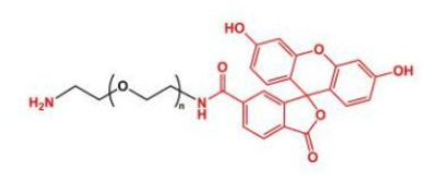 FITCɹ-Ҷ-F(xin)ITC-PEG-amine/NH2/ ĮaƷ|