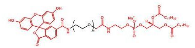 ɹؘ(bio)ӛҶ֬F(xin)ITC-PEG-DSPE 惦lЩҪ