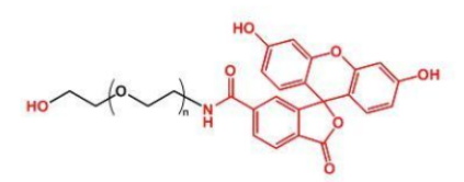 ɹؘ(bio)ӛҶuF(xin)ITC-PEG-OHĮa(chn)Ʒ|(zh)Y(ji)(gu)ʽ