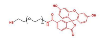 ɹؘ(bio)ӛҶF(xin)ITC-PEG-SHThiol-PEG-FITCF(xin)luorescent-PEG-SHa(chn)Ʒ