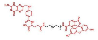 ɹؘӛҶ~F(xin)ITC-PEG-FAF(xin)luorescent-PEG-Folatea(chn)ƷP(gun)a(chn)Ʒ]