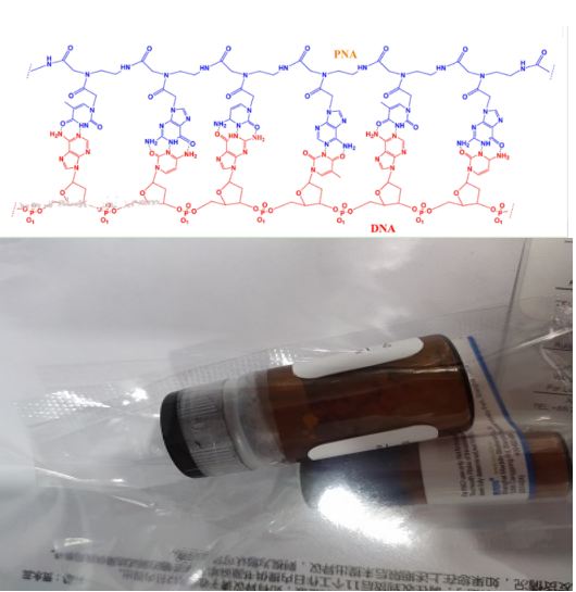xĺ(asPNA)