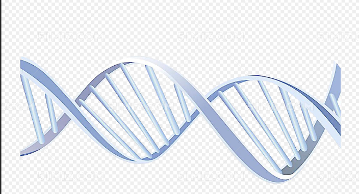 ؘ(bio)ӛDNA(ÓǺ)