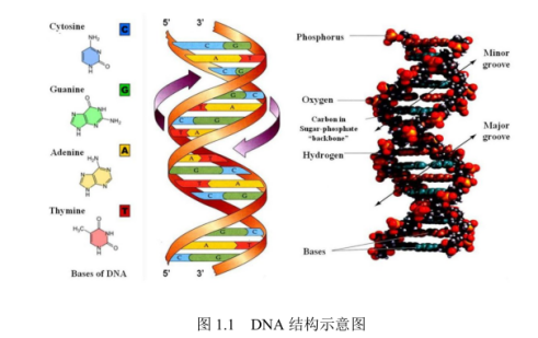 DNAЙC(j)ﱡĤ