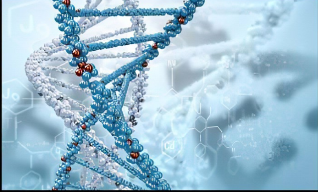 ɹȾCY3ż(lin)DNA