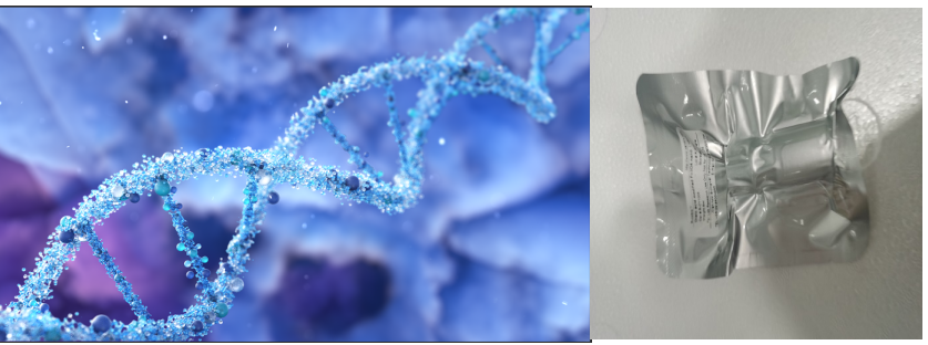 DNA(ÓǺ)Ʒ(w)