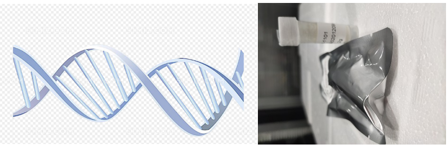 DNA(f)