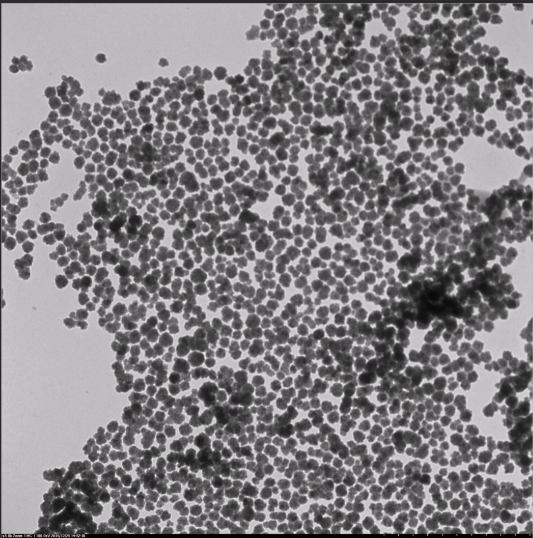 (x)Ĥ-Fe3O4(f)(TAT-Fe3O4)
