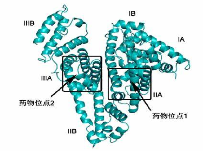 ɹc(bio)ӛ~ż(lin)Ѫ׵׼{