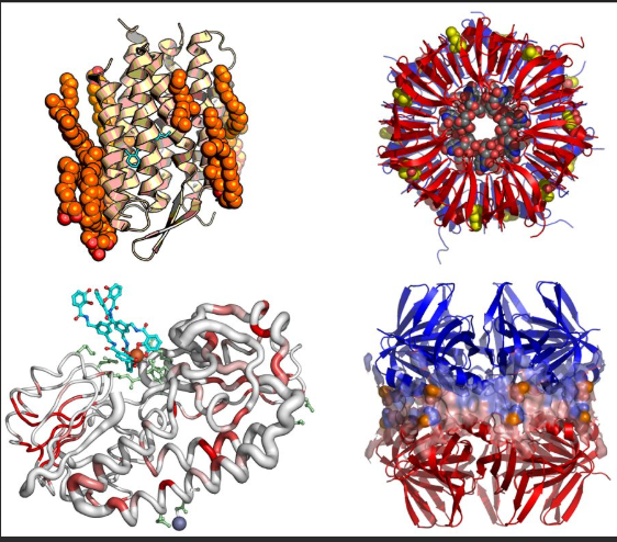 S׵׼{(GA-HSA NPs)