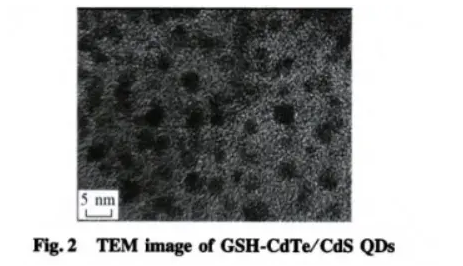 ׸ (GSH)CdSe/ZnSc