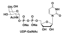 ऺ-5--N-Ƕc}CAS̖:108320-87-2