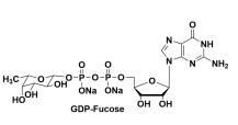 GDP-L-r Bնr Guanosine 5-diphospho--L-fucose sodium salt