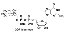 GDP-D-mannose 5'-B(nio)ʺ-¶Ƕc}