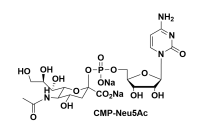 5`-ʺ-Һc} 5-N-(jng)