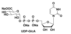 UDP-GAL(UDP-) UDP-ALPHA-D-GALACTOSE DISODIUM SALT 
