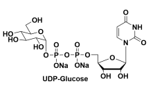 -5'-ǶcUridine-5?-diphosphoglucose, 2Na, UDP-Glc