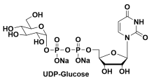 URIDINE 5'-DIPHOSPHOGLUCOSE DISODIUM SALTऺ-5'-(UDP-G)