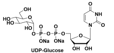 5'-()P'-BETA-D-ǻc}UDP-ALPHA-D-GLUCOSE, DISODIUM SALT