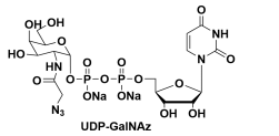 CAS#: 653600-61-4Uridine 5-diphospho-N-acetylazidogalactosamine disodium salt