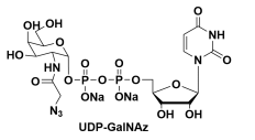 5'--N-Bǰc}UDP-GalNAzUDP-GalNAz.2NaCAS#: 653600-61-4