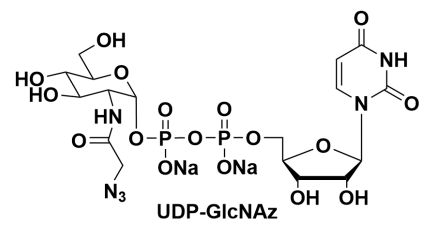 5'--N-Bǰc}Uridine 5-diphopho-N-acetylazidoglucosamine disodium salt