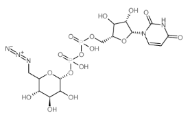 p-6-B-6-Ó-D-,CAS:537039-67-1UDP-6-N3-Glucose