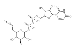 ǺUDP-6-azido-6-deoxy-D-glucose disodium salt/galactose